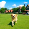 Geheimtipps für Holland mit Hund: Unvergessliche Erlebnisse